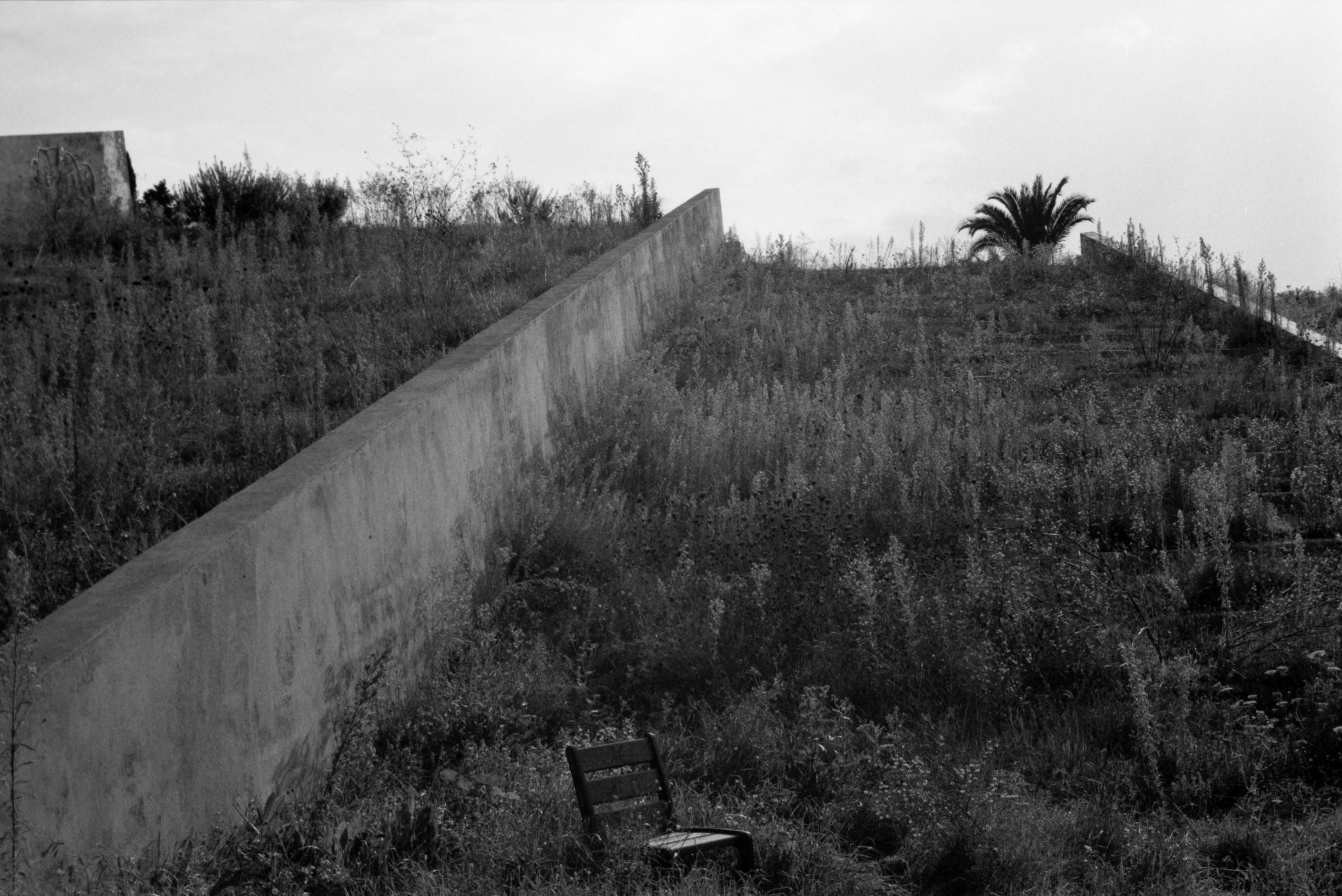 AHP F1995 10 001 sc240815 img28 NLP